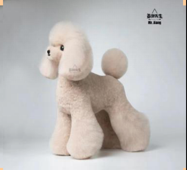 Teddy Ganzkörperfell, Milk-Tea-Farbe (Teddy full body hair (milk tea color)