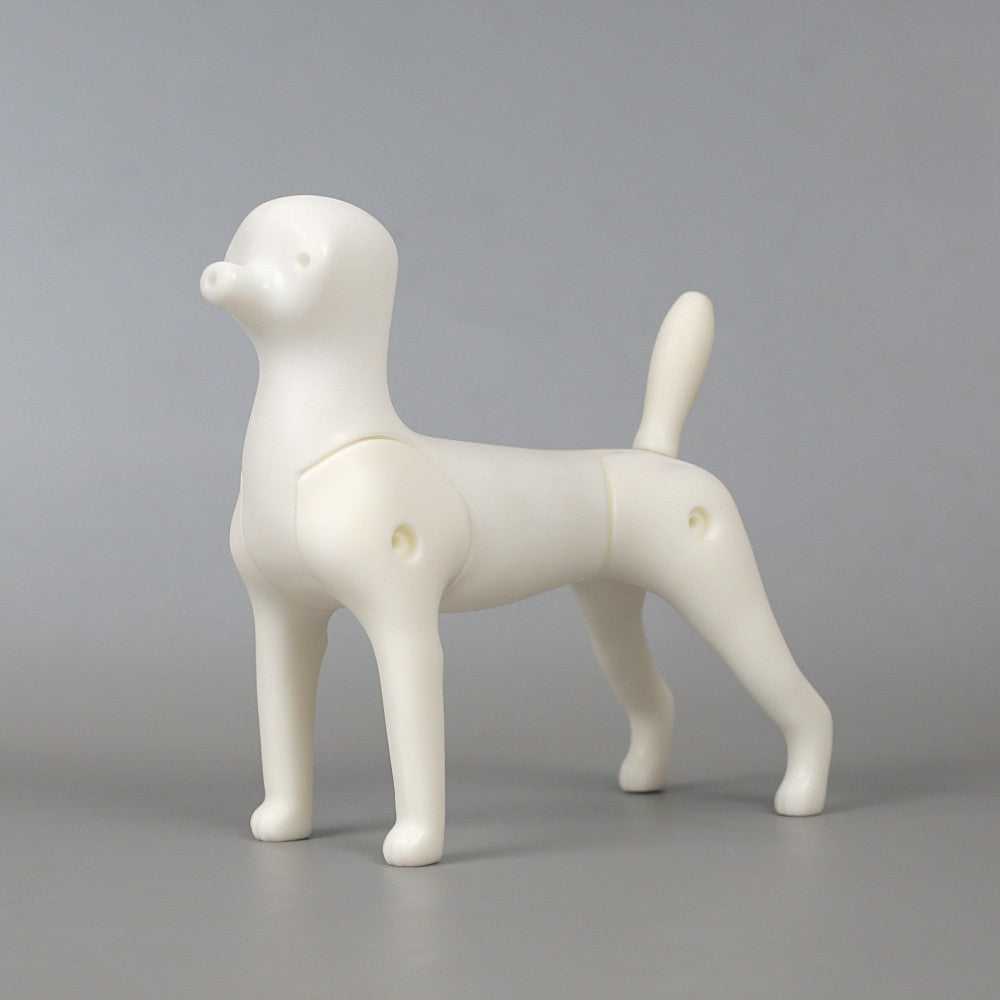 Mehrzweck-Kleinhund-Ganzkörpermodell (Multi-purpose small dog model)