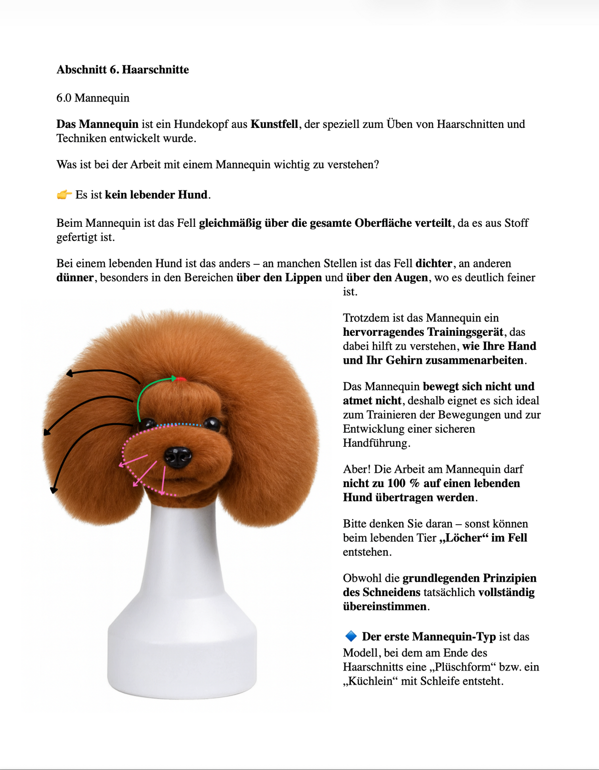 Professional Grooming Handbook – in deutscher Sprache