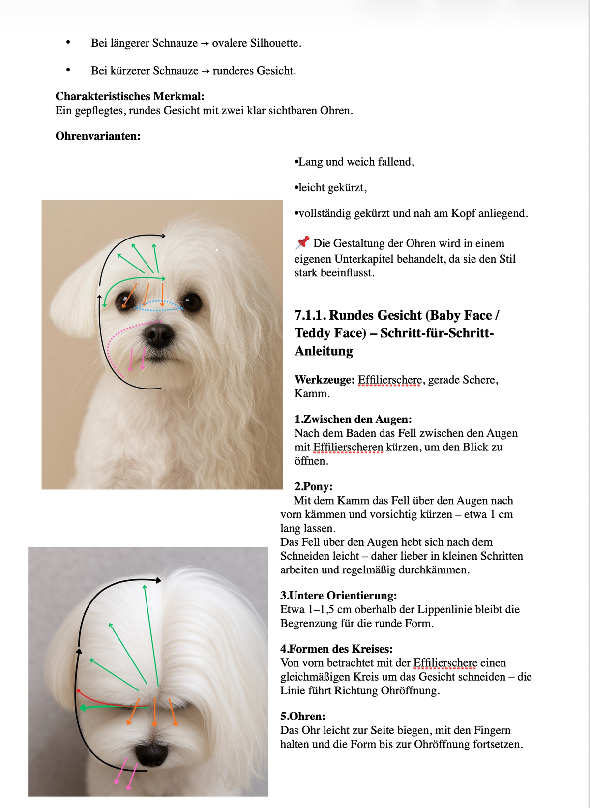 Professional Grooming Handbook – in deutscher Sprache