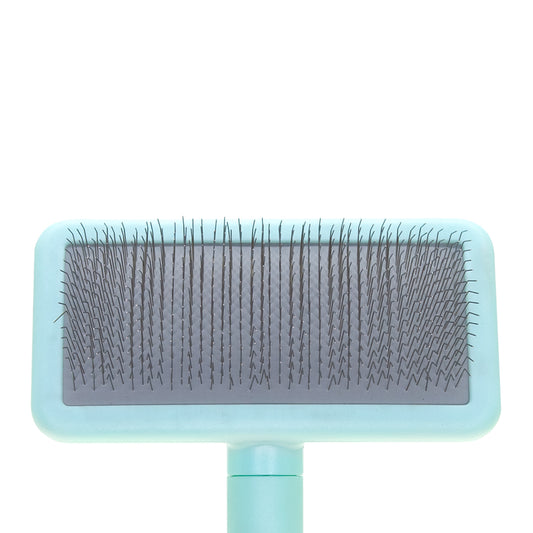 Kleine Zupfbürste für Tiere mit mittellangen Zinken Groom Soul Basic Series Soft Pins Mint