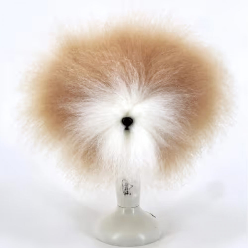 Teddy head fur with standing ears, champagne with white muzzle