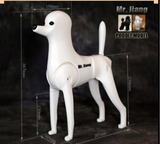 Ram full-body model – Poodle