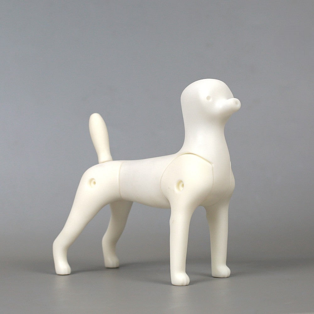 Mehrzweck-Kleinhund-Ganzkörpermodell (Multi-purpose small dog model)