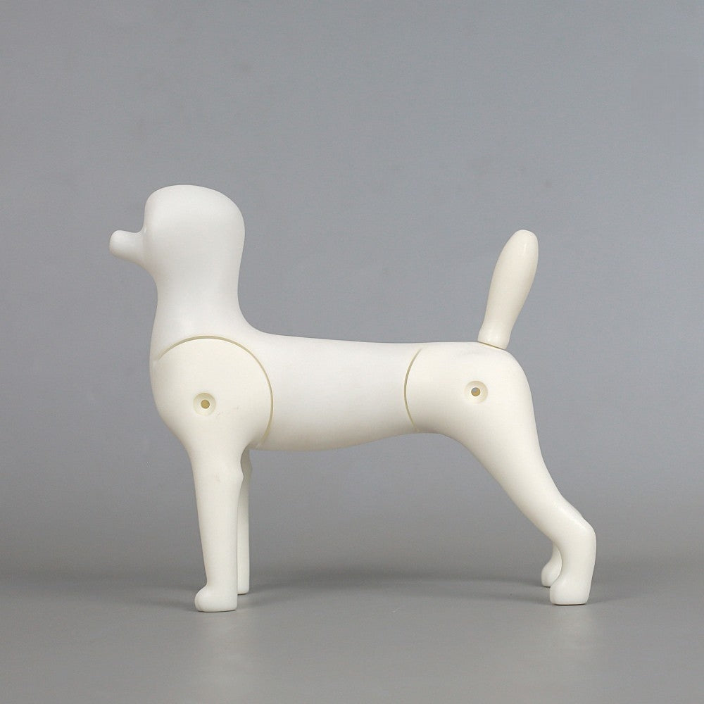 Mehrzweck-Kleinhund-Ganzkörpermodell (Multi-purpose small dog model)